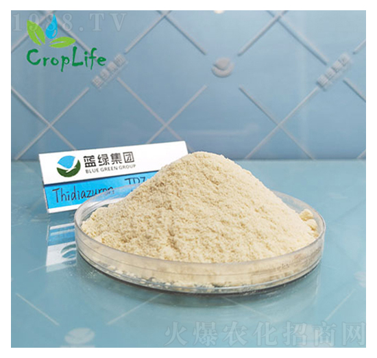 �籽¡-��(��i)��˹����