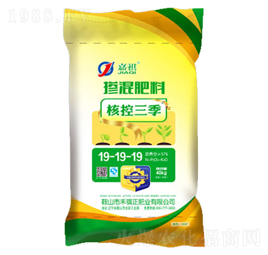 �˿������������19-19-19-����-�������ʘI(y��)