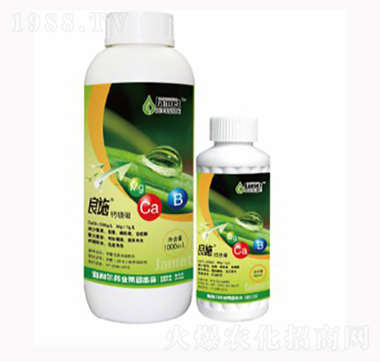 �}�V��-��ʩ-������