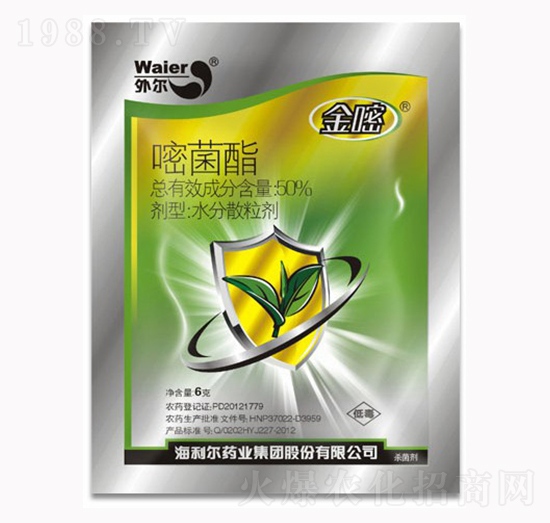 50%�Ѿ���-����-������