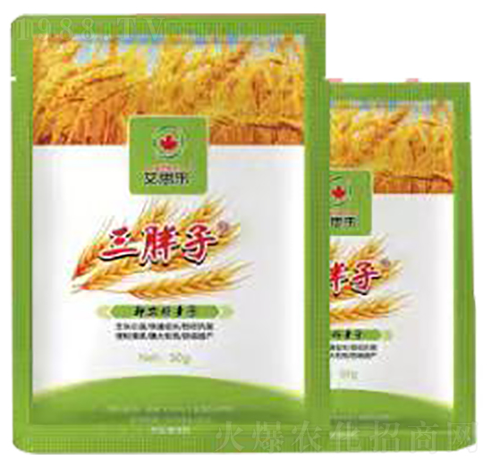 三胖子-艾思樂(lè)