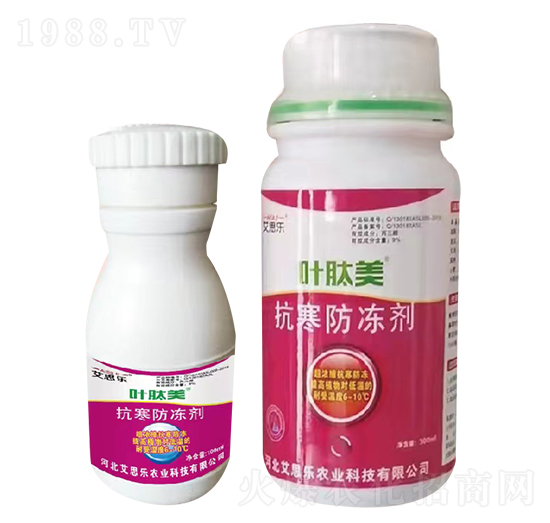 ����������-�~����-��˼��