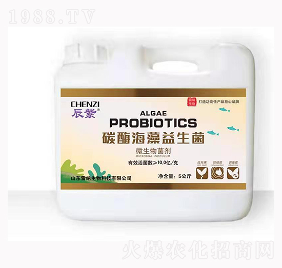 ̼ø����������-�׼{����