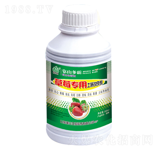 ��ݮ��������������-��ɽ����