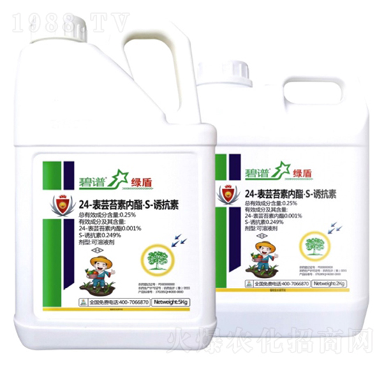 24-���|̦�؃�����S-�T����-�G��-������r(n��ng)