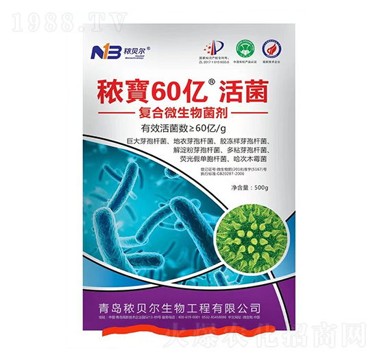 ��(f��)��΢�������-����60�|���-��ؐ��