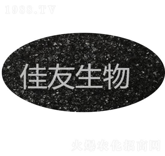 ��ֲ���-����