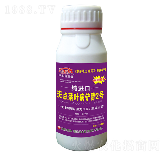 ΢�����-���M(j��n)�ڰ��c(di��n)���~���P��2̖(h��o)-���S��