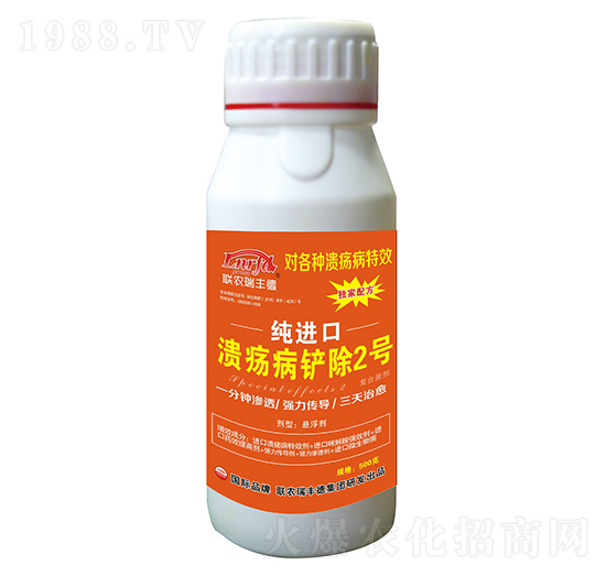 ΢�������-���M(j��n)�ڝ������P��2̖(h��o)-���S��