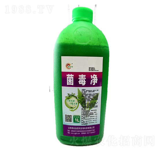 ������-�(y��ng)��Ӱ���