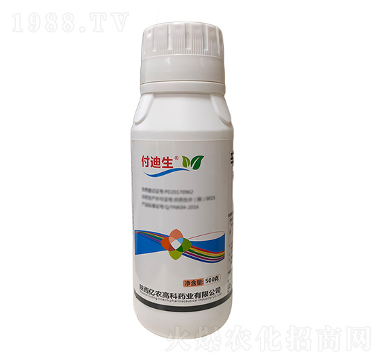 500g�����������}-������-�|�r(n��ng)�߿�