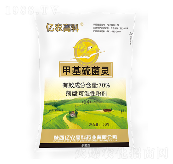 100g�׻�����`-�|�r�߿�