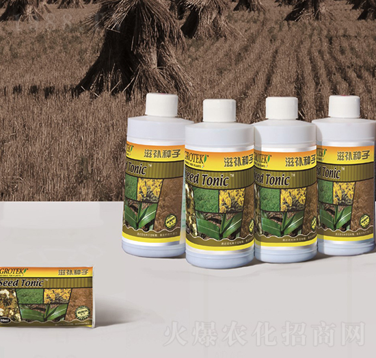 �N��̎�턩-���a�N��-������