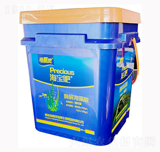 ø�⺣����-������-���L�`