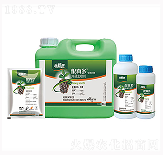 ����ຣ��������-���L�`