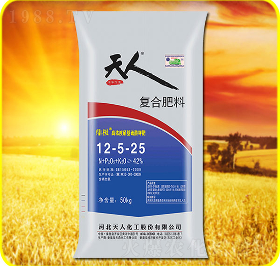 �ͺϷ���12-5-25-���˻���