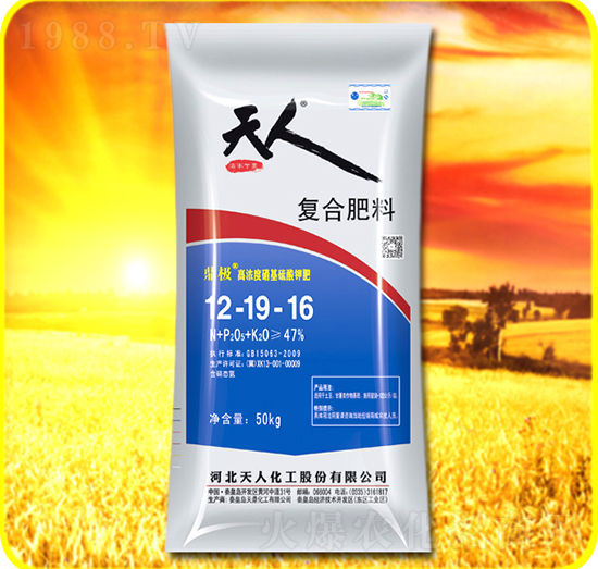 �ͺϷ���12-19-16-���˻���