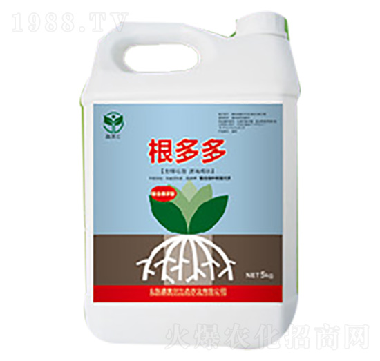 �����-���R��