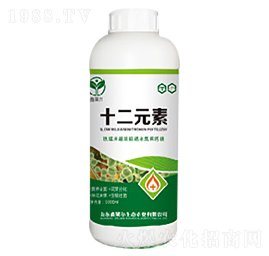 ʮ��Ԫ��-���R��