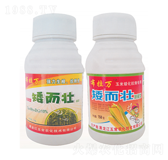 ������-�����f-�峣