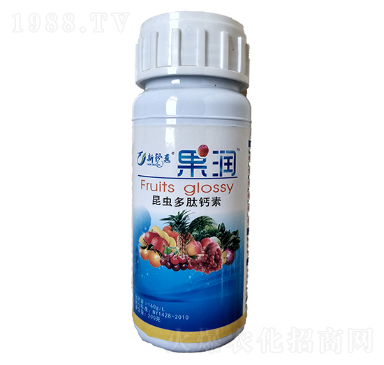 ���x�����}��-����-��������