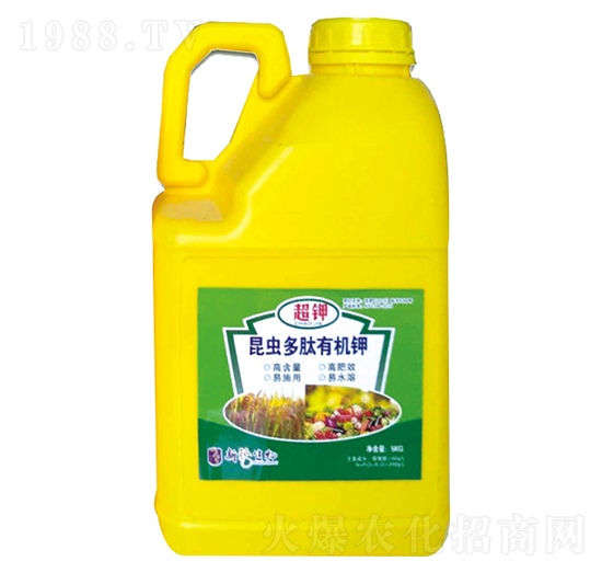 ���x�����ЙC�-��������