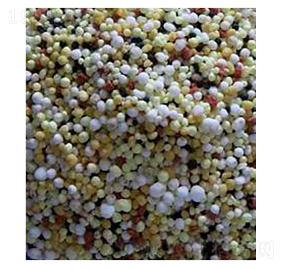 С�������-��ʢ�r(n��ng)�I(y��)