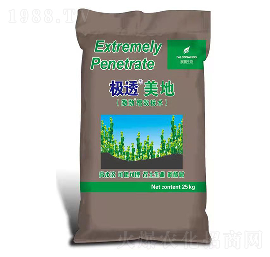 �O͸����-չ�i����