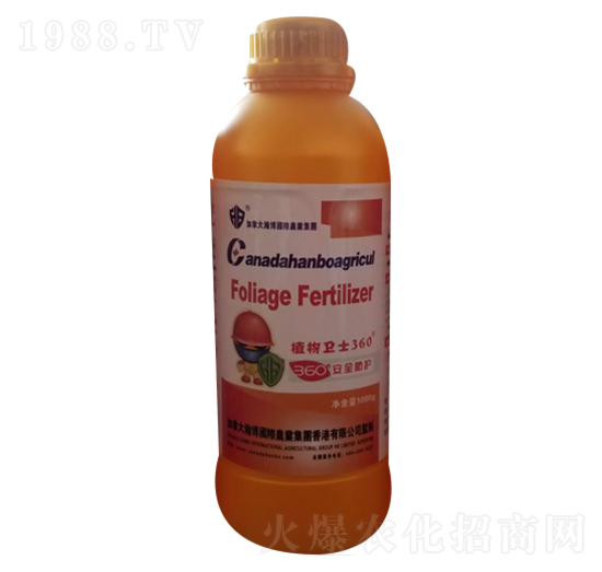 �~�����-ֲ���l(w��i)ʿ360-¡������