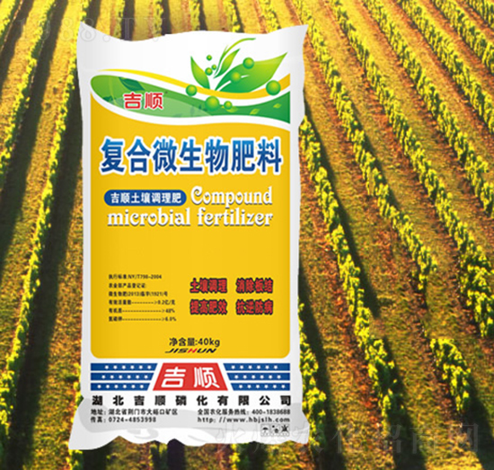 �����{����-���