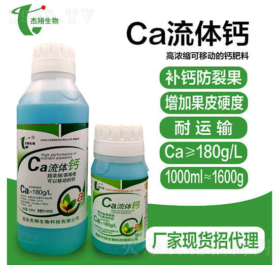 ���w�}-��������