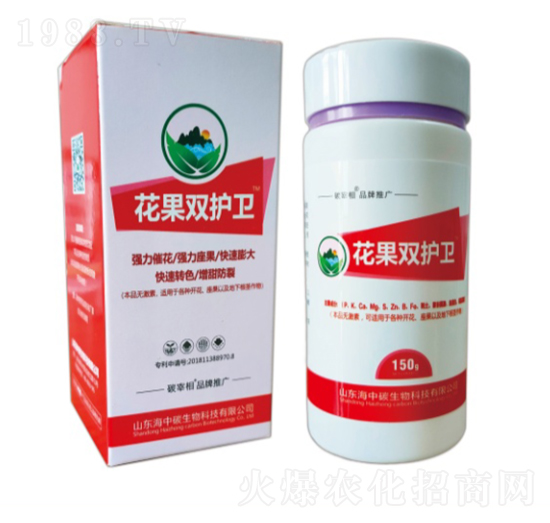 �����p�o(h��)�l(w��i)-����̼����