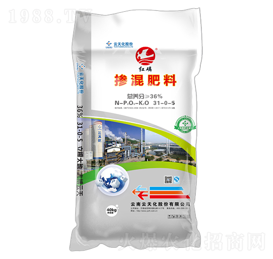 ���׷�ʓ������31-0-5-�t��-���o����