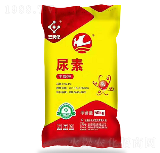 �t�������w������-���o����