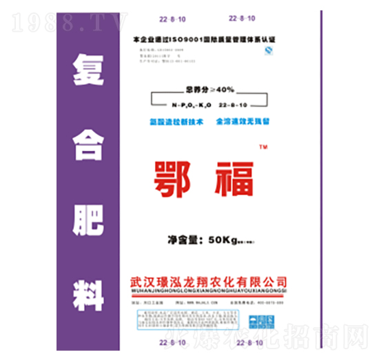 40%�ͺϷ���-����-�Z������