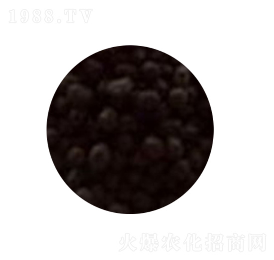 ����(sh��)��(zhu��n)�÷�-�������