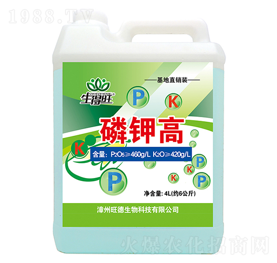 ��⛸�-������-��������