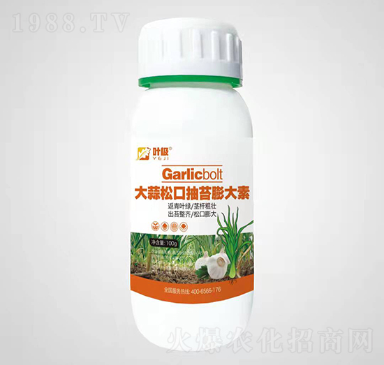 �����ɿڳ�̦�����-�~�O-�殀������