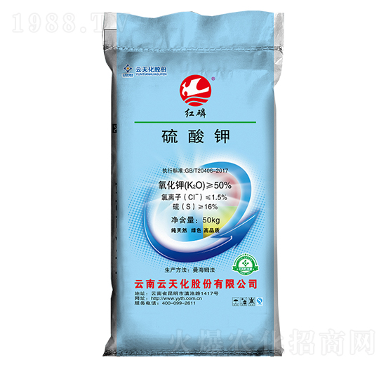 �t��50%�����-���o����