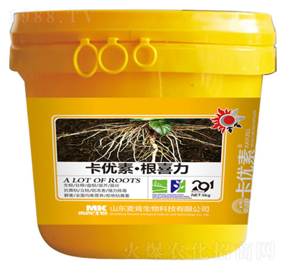 ����(y��u)�ظ�ϲ��-��������