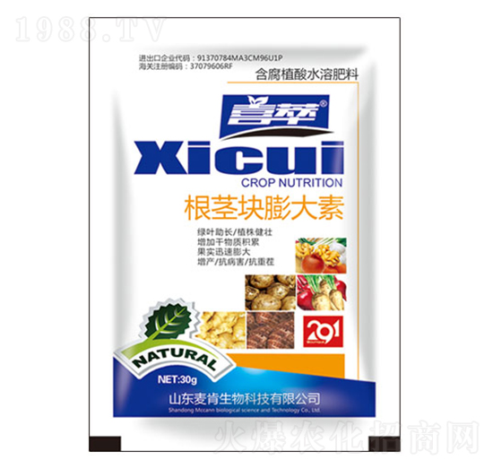 ���o�K�����-��������