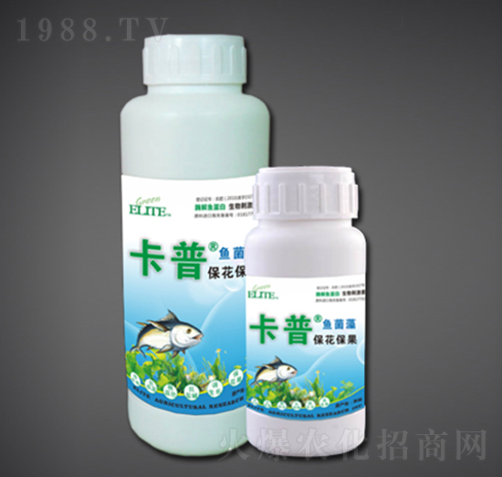 ����������ø���~����-�G�����