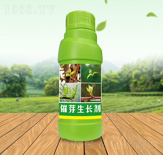 ȫ���ѿ���L(zh��ng)��-��Ԫ��