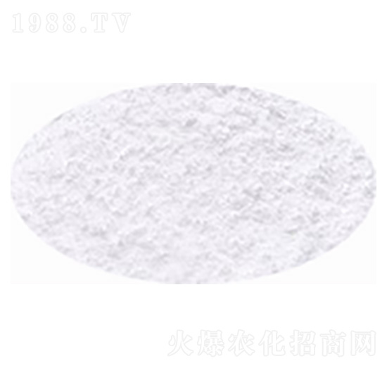 �����V�ηۡ�����-�۸�˼�_(d��)