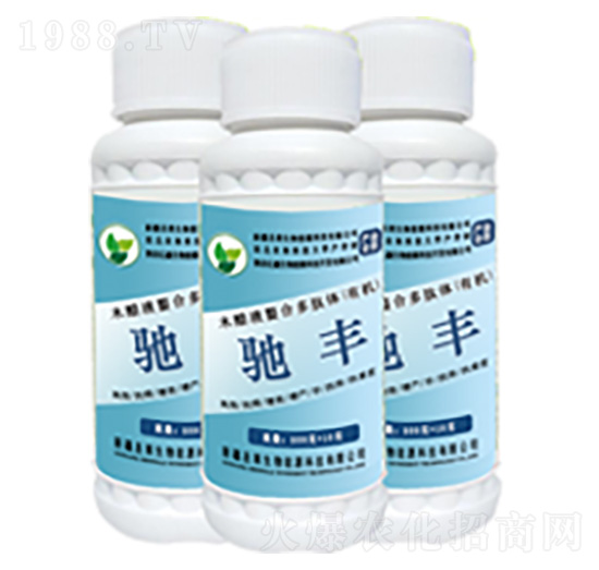 �󗗌����Y�S-ʥ�R����