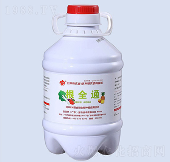 ��ȫͨ-��ЦȻ