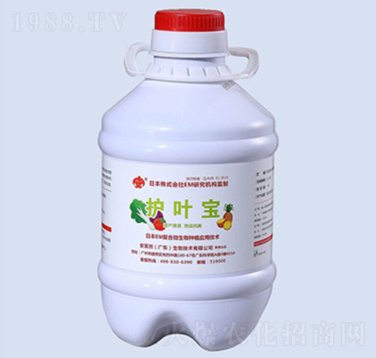 �o(h��)�~��-��ЦȻ