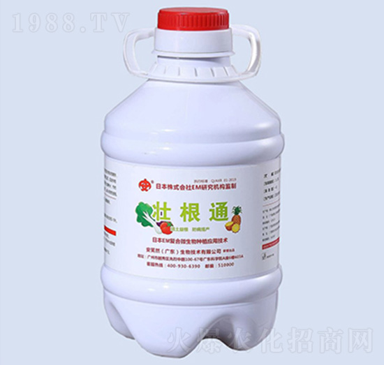 �Ѹ�ͨ-��ЦȻ