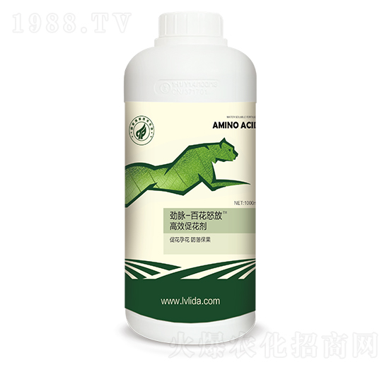 ��Чֲ�ﻨ�����M��-��(y��u)����(y��u)��-���}