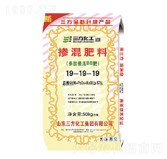 �������19-19-19-��������